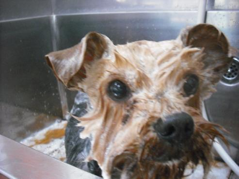 ファイル 350-3.jpg