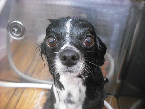 ファイル 3500-2.jpg