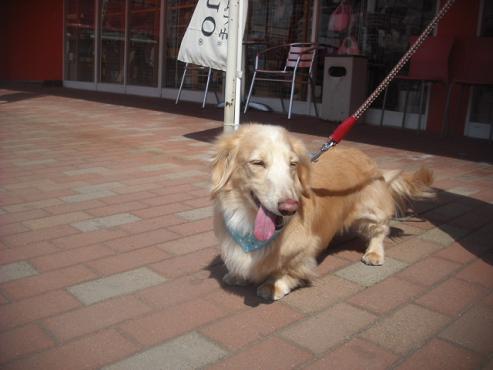 ファイル 3503-2.jpg