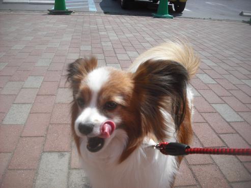 ファイル 3505-2.jpg