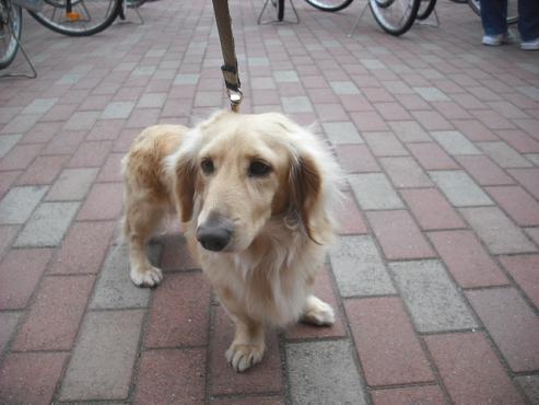 ファイル 3507-2.jpg