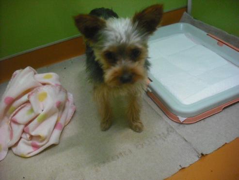 ファイル 3509-1.jpg