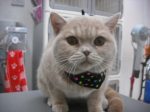 ファイル 351-1.jpg