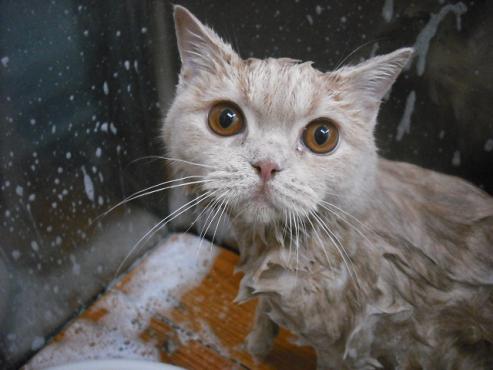 ファイル 351-3.jpg