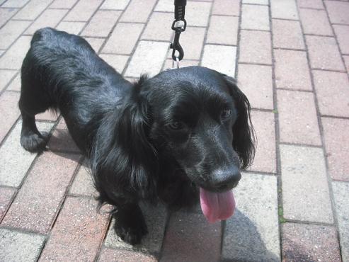 ファイル 3510-2.jpg