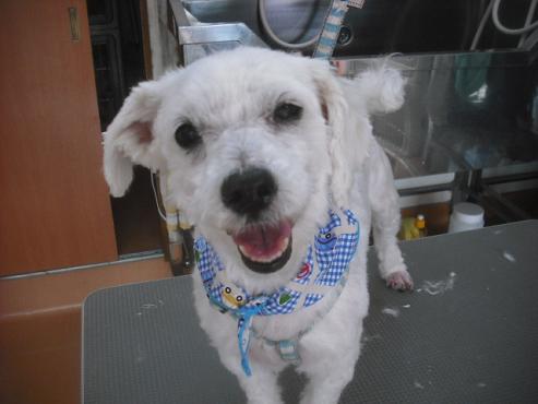 ファイル 3511-1.jpg