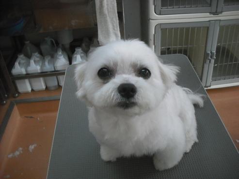 ファイル 3512-1.jpg