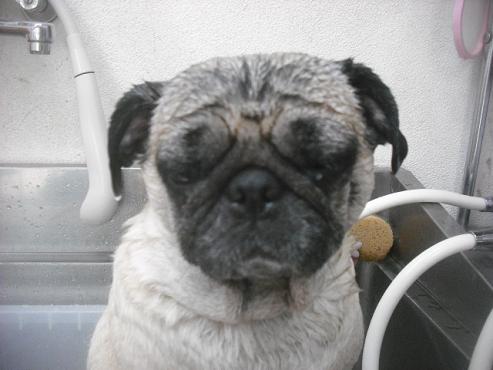 ファイル 3513-2.jpg