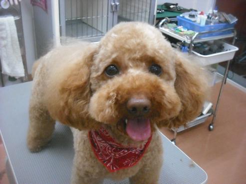 ファイル 3514-1.jpg