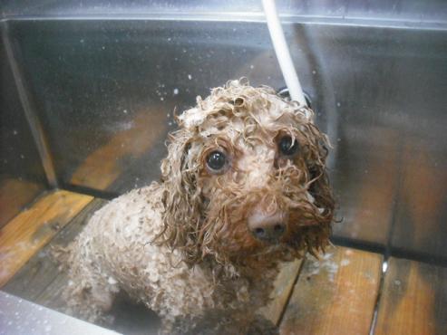 ファイル 3514-2.jpg