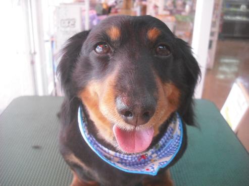 ファイル 3515-1.jpg