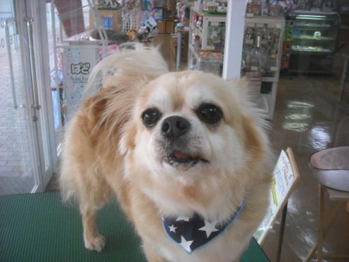 ファイル 3516-1.jpg