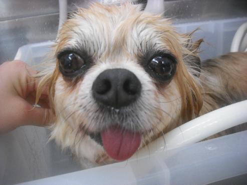 ファイル 3516-2.jpg