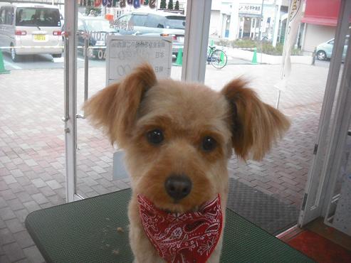 ファイル 3517-1.jpg