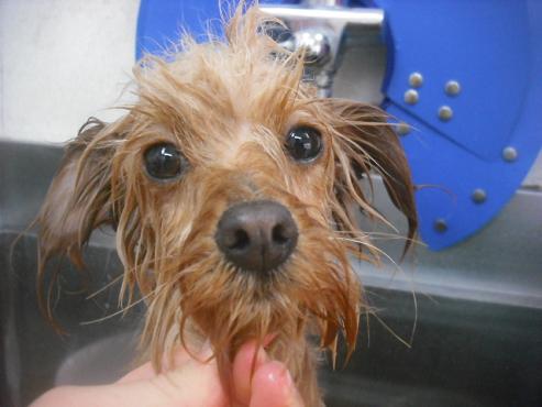 ファイル 3517-2.jpg