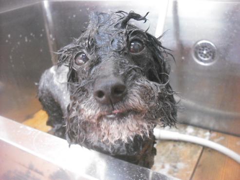 ファイル 3518-2.jpg