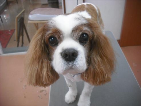 ファイル 3519-1.jpg