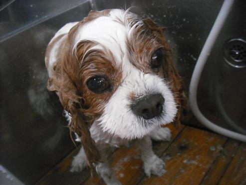 ファイル 3519-2.jpg