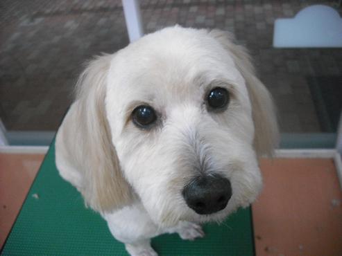 ファイル 352-1.jpg