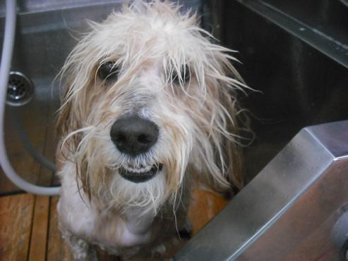 ファイル 352-3.jpg