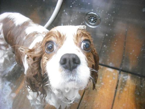 ファイル 3520-2.jpg