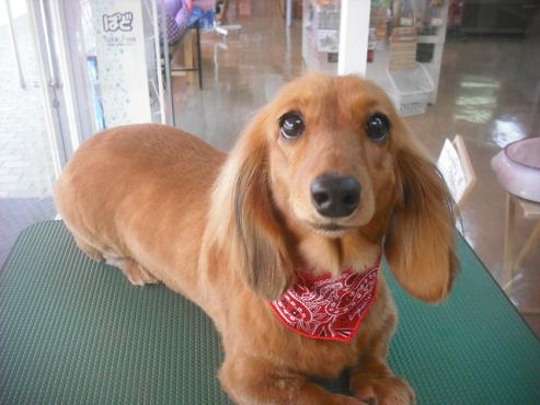 ファイル 3521-1.jpg