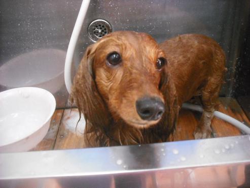 ファイル 3521-2.jpg