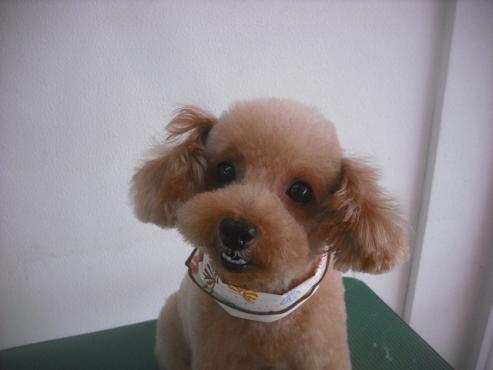 ファイル 3522-1.jpg