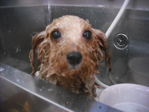 ファイル 3522-2.jpg