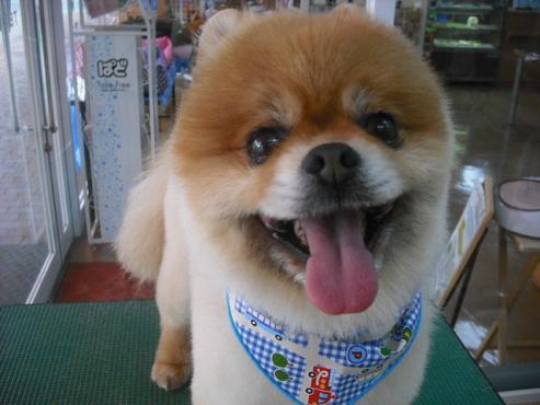 ファイル 3523-1.jpg