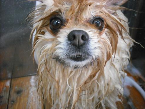 ファイル 3523-2.jpg