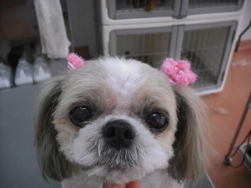 ファイル 3524-1.jpg