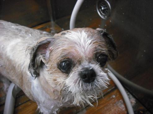 ファイル 3524-2.jpg