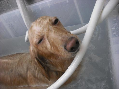 ファイル 3525-2.jpg