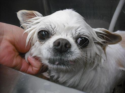 ファイル 3529-2.jpg