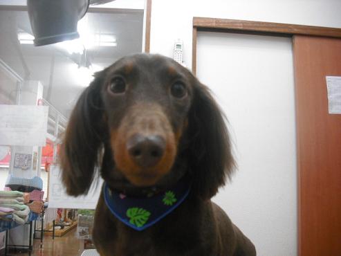 ファイル 353-1.jpg