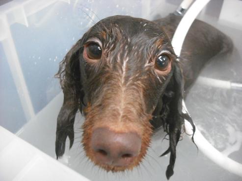 ファイル 353-2.jpg