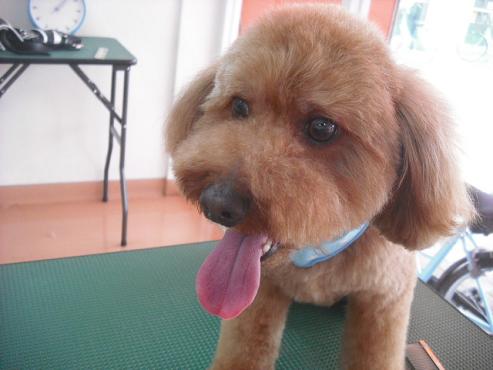 ファイル 3530-2.jpg