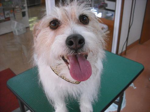 ファイル 3531-1.jpg