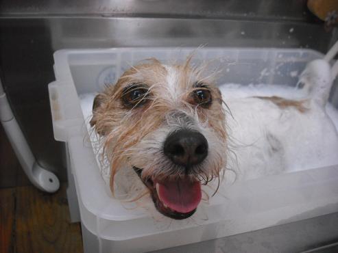 ファイル 3531-2.jpg