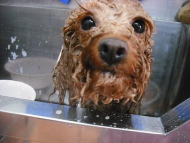 ファイル 3533-2.jpg