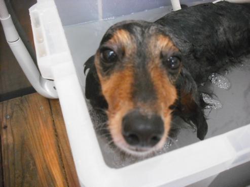 ファイル 3534-2.jpg