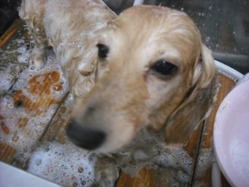 ファイル 3535-1.jpg