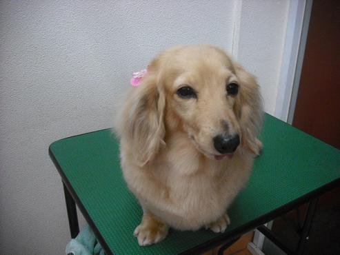 ファイル 3535-2.jpg