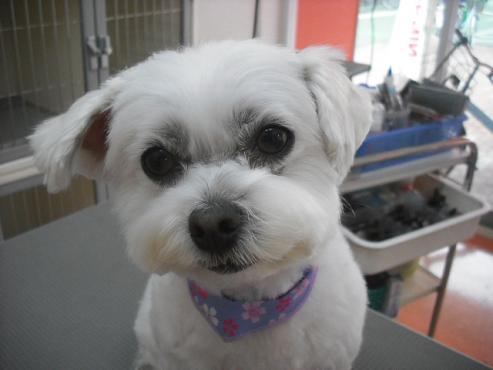 ファイル 3537-1.jpg