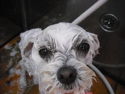 ファイル 3537-2.jpg