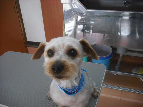 ファイル 3538-1.jpg