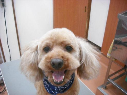 ファイル 3539-1.jpg