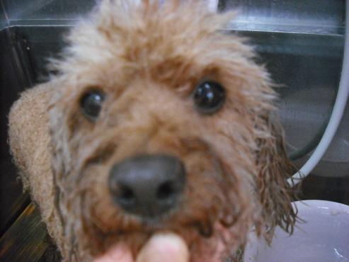 ファイル 3539-2.jpg