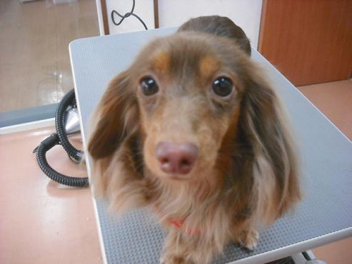 ファイル 354-1.jpg